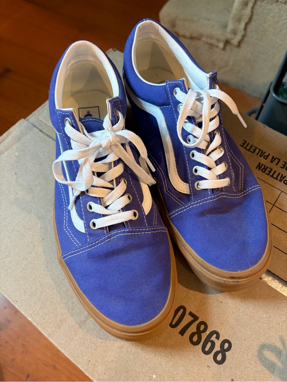 Vans Men’s Low-Top Canvas Sneakers in Royal Blue and White with Gum Sole
